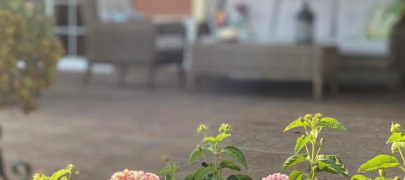 Вилла с 5 спальнями в Гольф-курорт, Испания № 3716 13