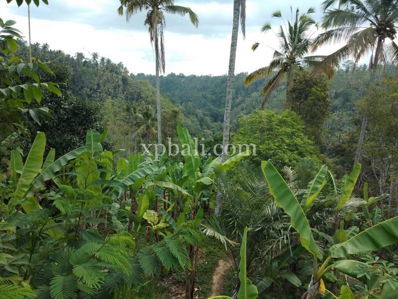 Terrain à Ubud, Indonesia 22000m² No. 3792