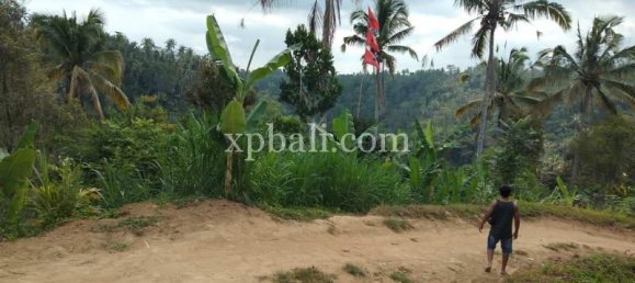 Terrain à Ubud, Indonesia 22000m² No. 3792 2