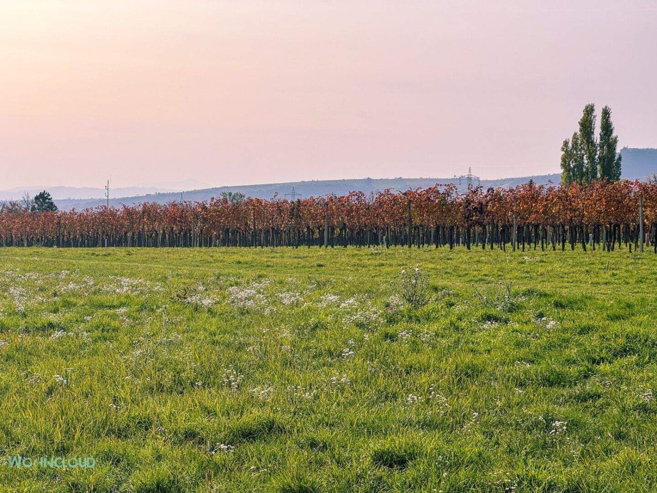 Terreno em Vienna, Austria 179 m² N.º 244705