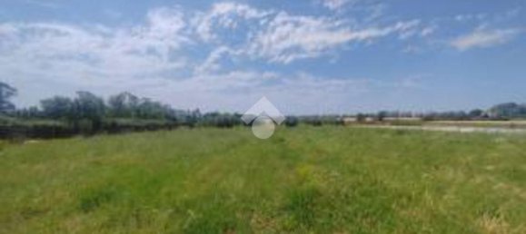 Terrain à Santa Giustina in Colle, Italy 27500m² No. 269933 3