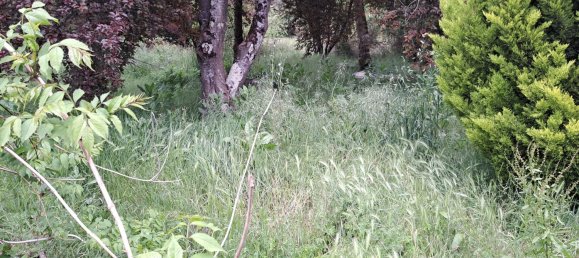 Дом с 6 комнатами в Приморская Шаранта, Франция № 338100 16