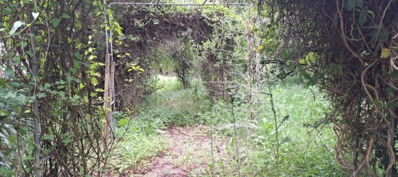 Дом с 6 комнатами в Приморская Шаранта, Франция № 338100 17