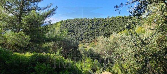 5 rooms Land in Camporosso, Italy No. 163842 6