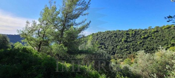 5 rooms Land in Camporosso, Italy No. 163842 4