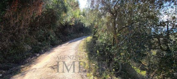 5 rooms Land in Camporosso, Italy No. 163842 3