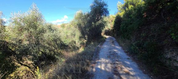 5 rooms Land in Camporosso, Italy No. 163842 8