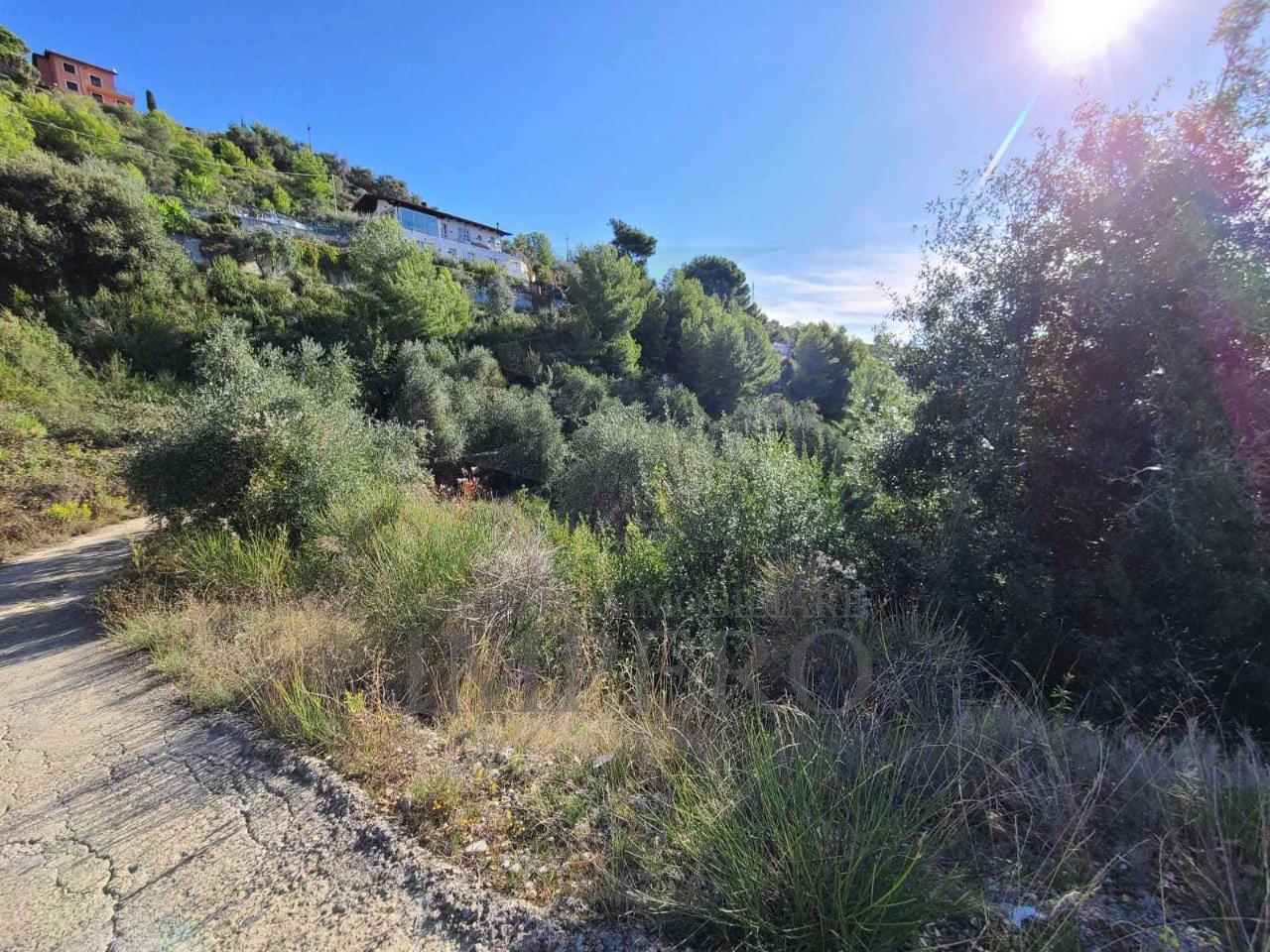 5 rooms Land in Camporosso, Italy No. 163842