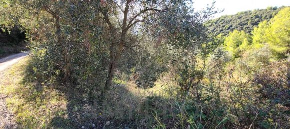 5 rooms Land in Camporosso, Italy No. 163842 5