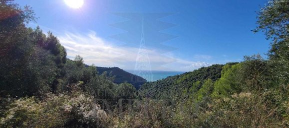 5 rooms Land in Camporosso, Italy No. 163842 2