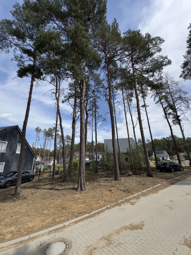  Land in Potsdam-Mittelmark, Germany No. 235262