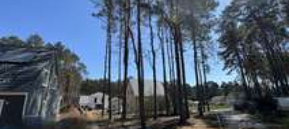  Land in Potsdam-Mittelmark, Germany No. 235262 4