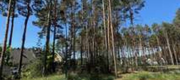  Land in Potsdam-Mittelmark, Germany No. 235262 2