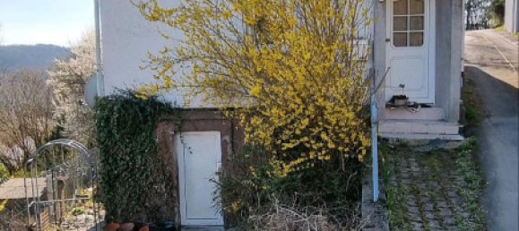 3 chambres Maison à Birkenfeld, Germany No. 242522 19