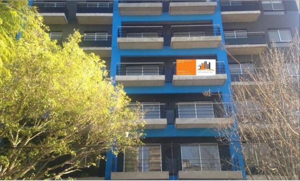 Studio in Tigre, Argentina, Nr. 17636