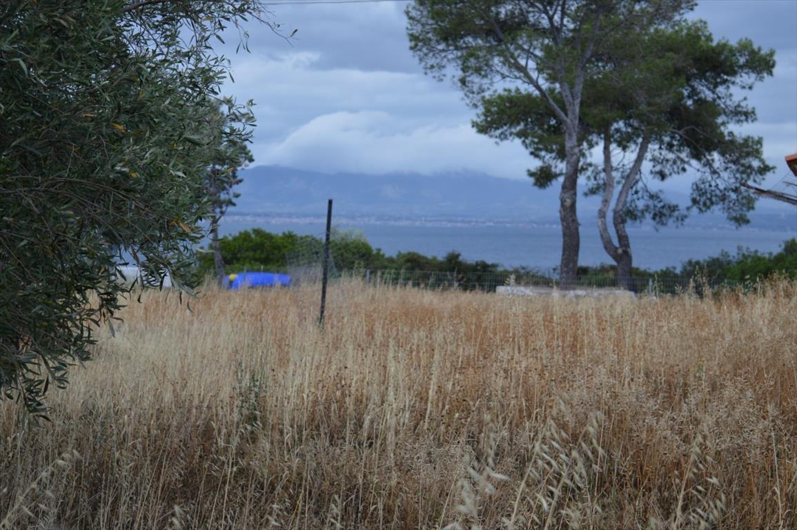  فندق في Loutraki, Greece 5693متر مربع رقم 6266