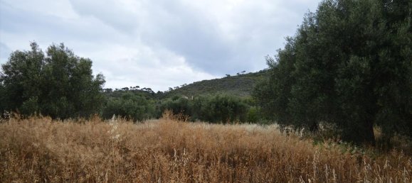 5693m² Hotel in Loutraki, Greece No. 6266 2