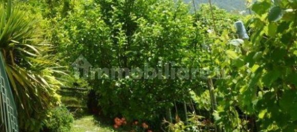 Casa T5 em Rapallo, Italy N.º 35886 29