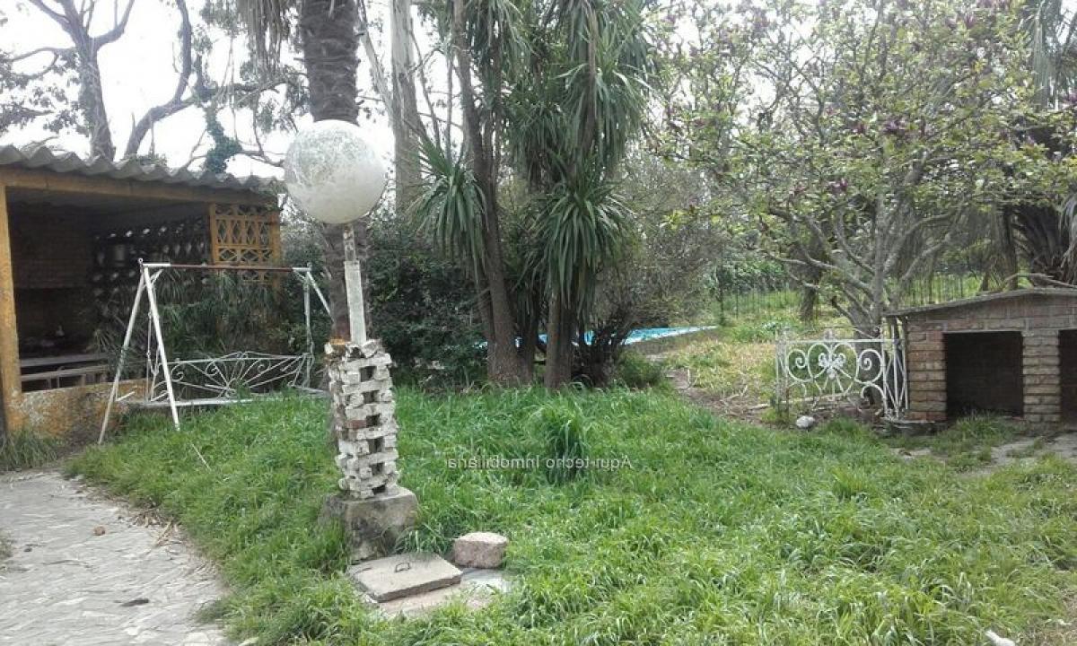  قطعة أرض في Montevideo, Uruguay رقم 15291