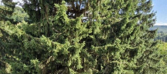 16غرفة فيلا في Penzing, Austria رقم 209068 29