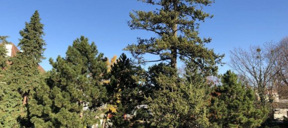 4-Zimmer Doppelhaus in Liesing, Austria, Nr. 233898 14