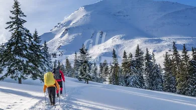  Land in Bad Kleinkirchheim, Austria No. 215973
