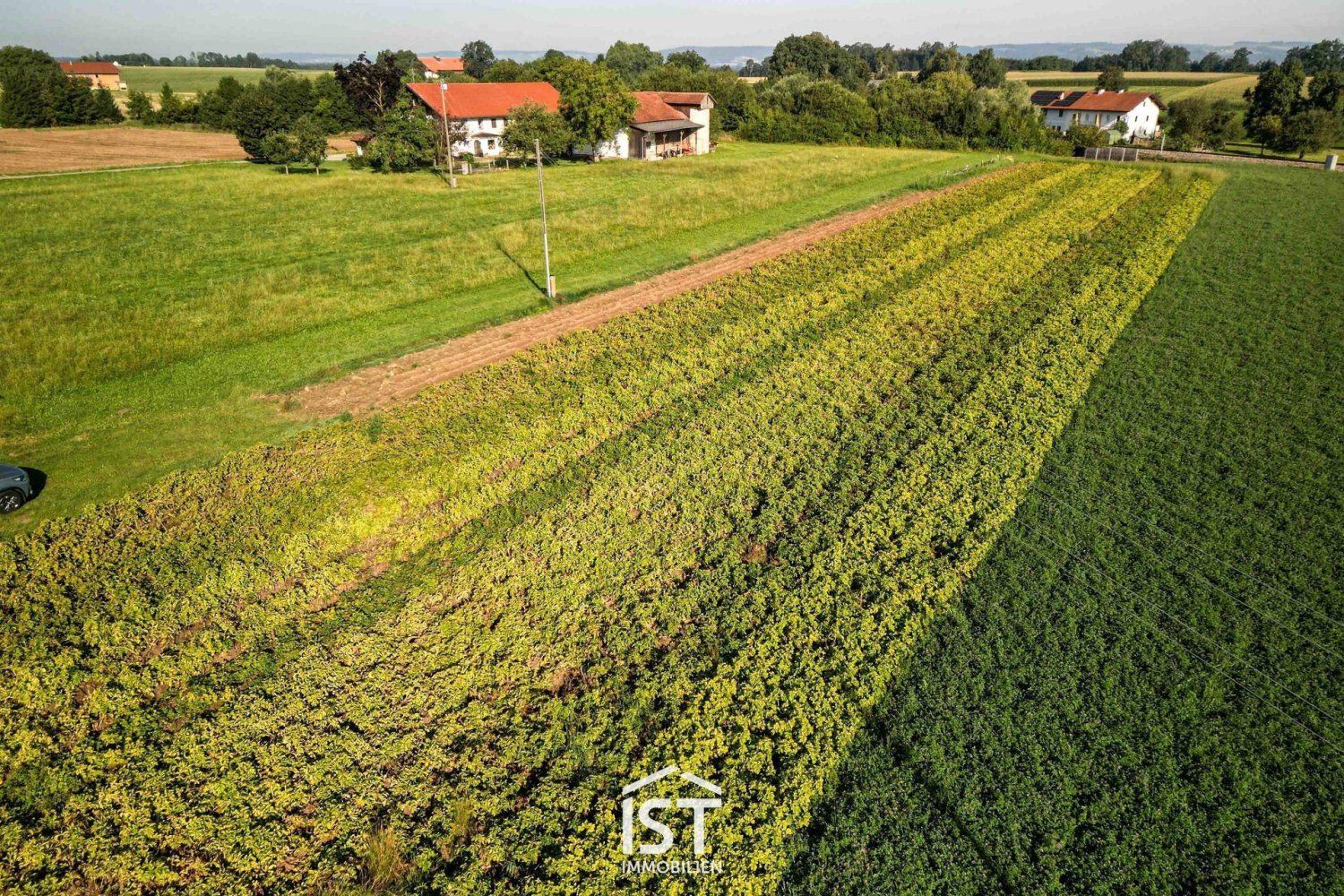 1058m² Land in Altheim, Austria No. 120541
