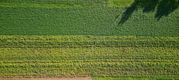 1058m² Land in Altheim, Austria No. 120541 3