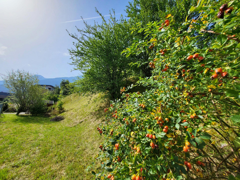 Terrain à Telfs, Austria 697m² No. 81175