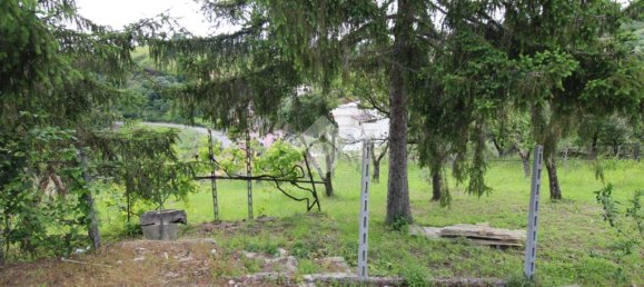 1-Zimmer Grundstück in Torrita Tiberina, Italy, Nr. 329435 2