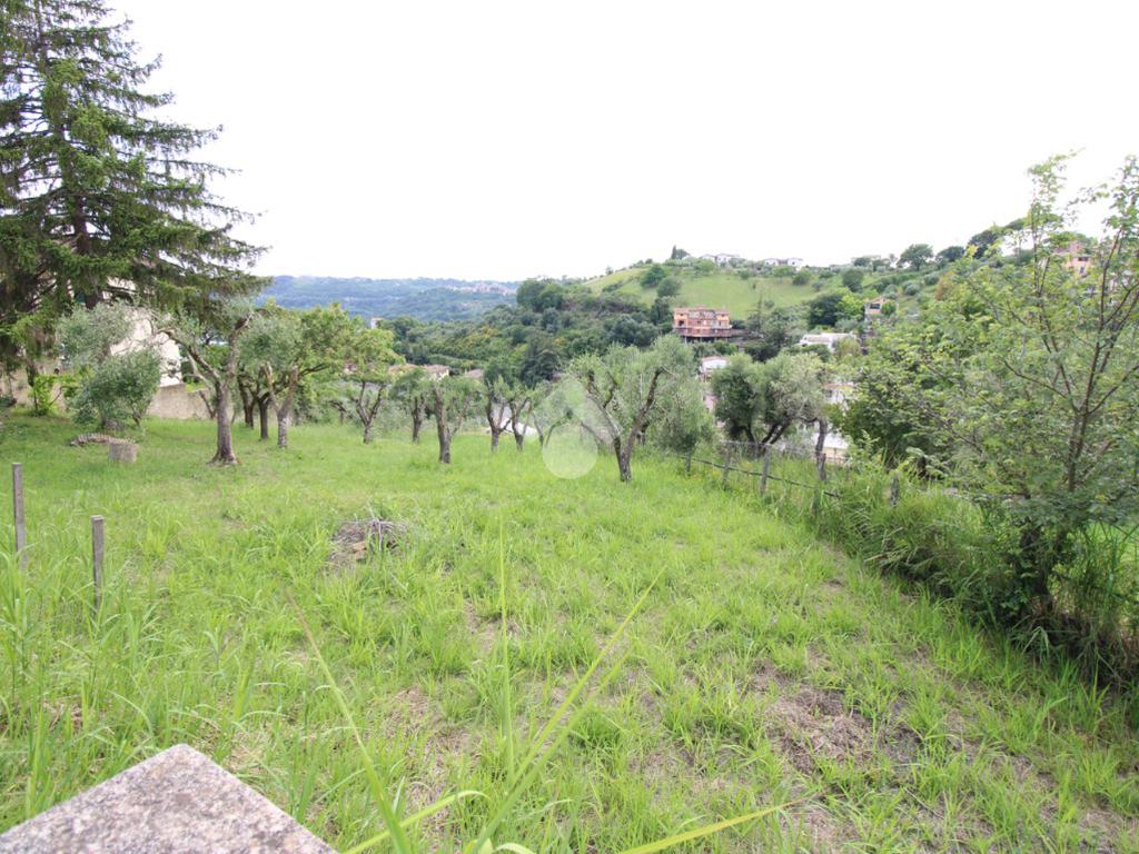 1-Zimmer Grundstück in Torrita Tiberina, Italy, Nr. 329435