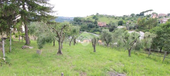 1-Zimmer Grundstück in Torrita Tiberina, Italy, Nr. 329435 3