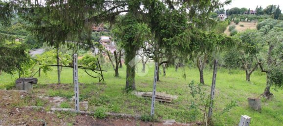 1-Zimmer Grundstück in Torrita Tiberina, Italy, Nr. 329435 7