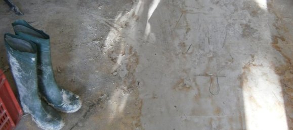 Entrepôt à Montegranaro, Italy 1984m² No. 103684 43