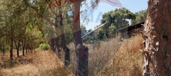 3 bedrooms House in Abrantes, Portugal No. 24983 9