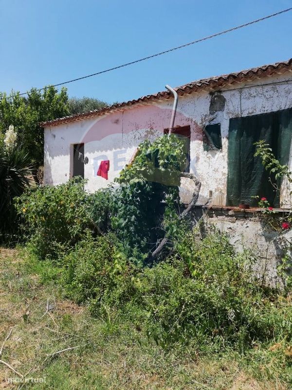 3 bedrooms House in Abrantes, Portugal No. 24983