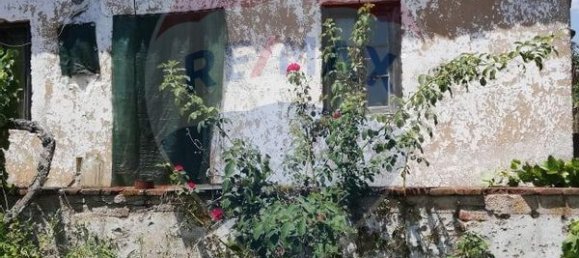 3 bedrooms House in Abrantes, Portugal No. 24983 2