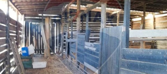 3 bedrooms House in Abrantes, Portugal No. 24983 4