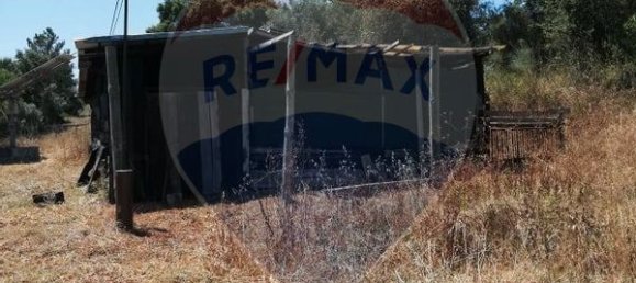 3 bedrooms House in Abrantes, Portugal No. 24983 6