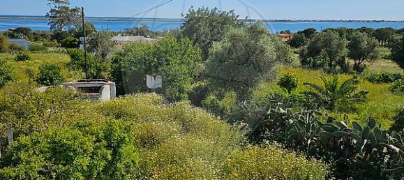 Casa de 5 dormitorios en Olhao, Portugal No. 29078 13