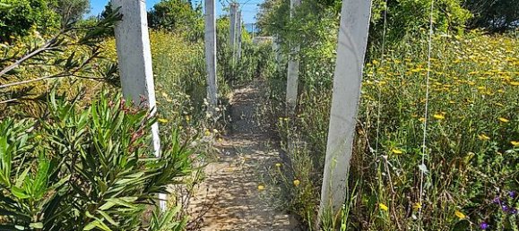 Casa de 5 dormitorios en Olhao, Portugal No. 29078 19