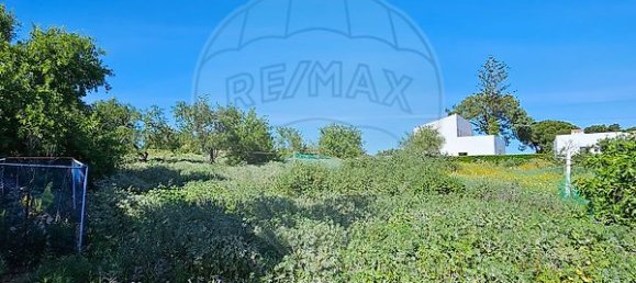 Casa de 5 dormitorios en Olhao, Portugal No. 29078 4