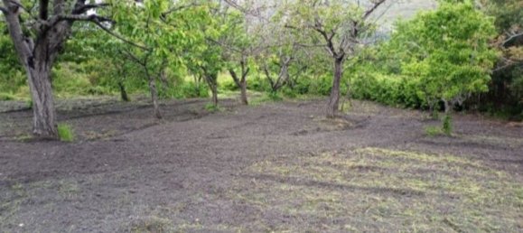 10000m² Land in Amantea, Italy No. 254468 9