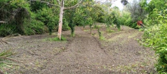 10000m² Land in Amantea, Italy No. 254468 8