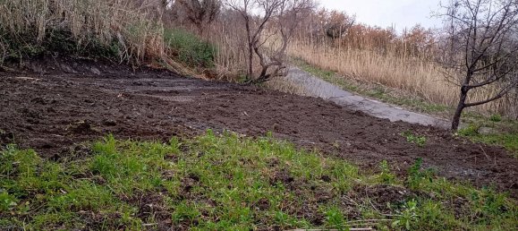 10000m² Land in Amantea, Italy No. 254468 10