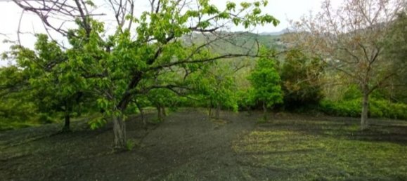 10000m² Land in Amantea, Italy No. 254468 6