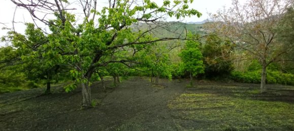 10000m² Land in Amantea, Italy No. 254468 2