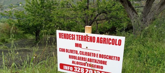 10000m² Land in Amantea, Italy No. 254468 3