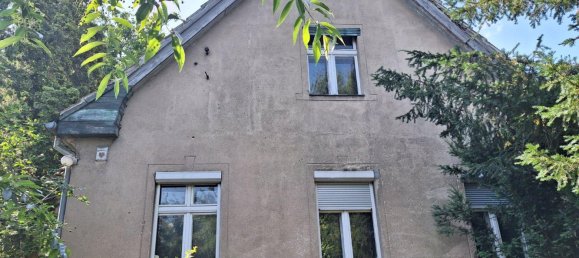 5 rooms Land in Brandenburg, Germany No. 15267 3