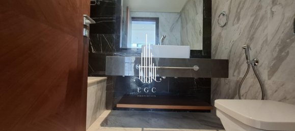 4 bedrooms Duplex in Tourist Club Area, UAE No. 39901 21